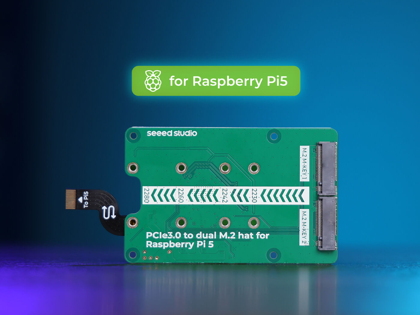 Pi 5 Case - PCIe 3.0 스위치를 듀얼 M.2 모자로
